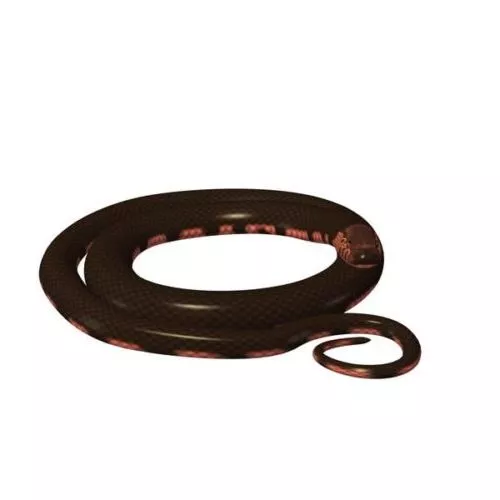 Mud Snake Animal 3d model Mud Snake Animal 3d model