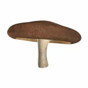 Mushroom Shitake Plant 3d model