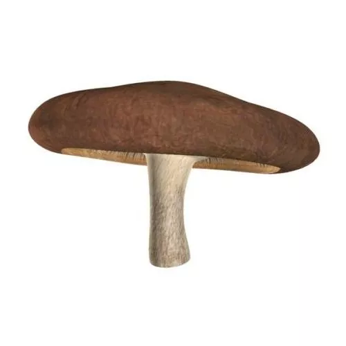 Cartoon Mushroom Monster 3d model