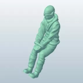 Stearman Pilot 3d model