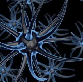 Brain Neurons 3d model