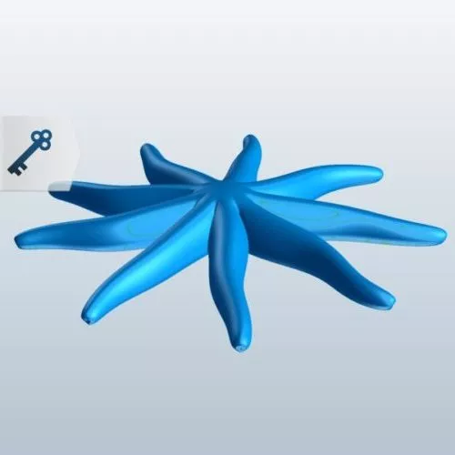 Nine Armed Starfish Animal 3d model Nine Armed Starfish Animal 3d model