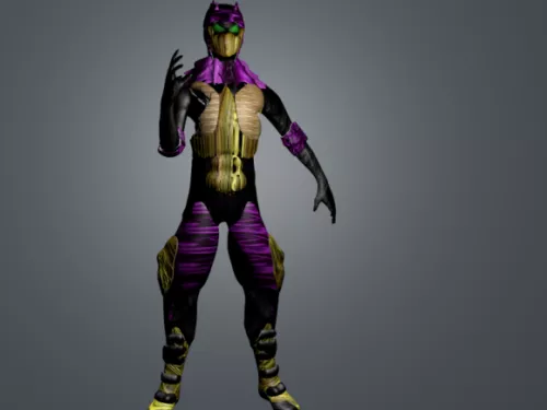 Ninja Character Design 3d model Ninja Character Design 3d model