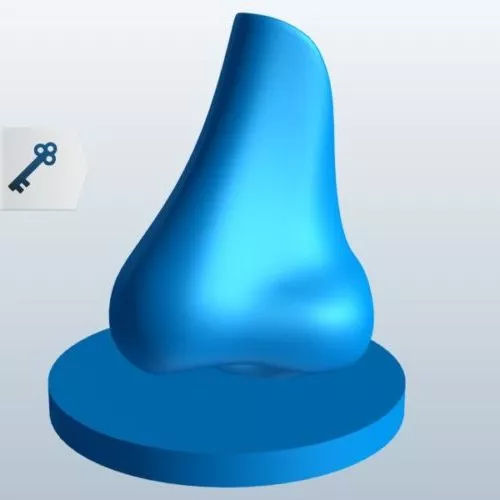Nose Sculpture 3d model Nose Sculpture 3d model