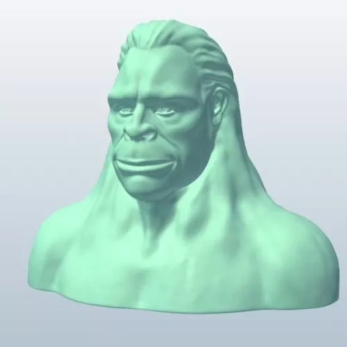 Final Fantasy X Wakka 3d model