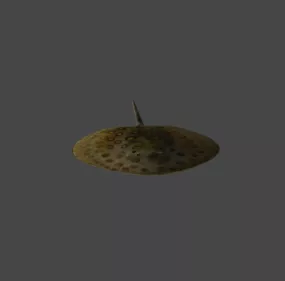 River Stingray 3d model