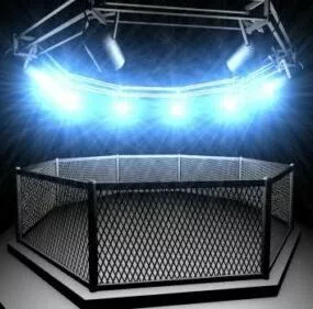 Sport Octogon Cage 3d model