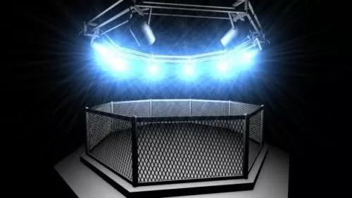 Wire Bird Cage 3d model