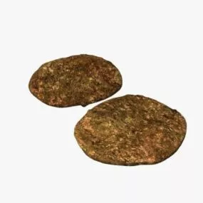Old Coins 3d model