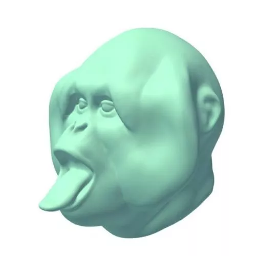 Orangutan Head 3d model Orangutan Head 3d model