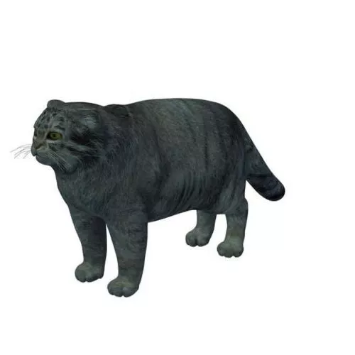 Black Cat Statue 3d model