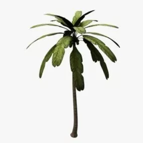 Palm Tree Cartoon Style 3d model