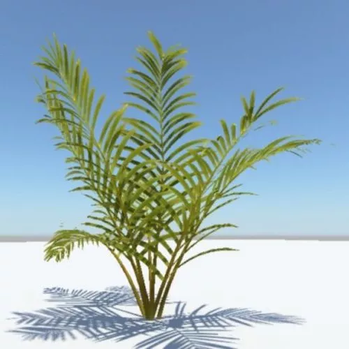Palm Tree Forest Island 3d model