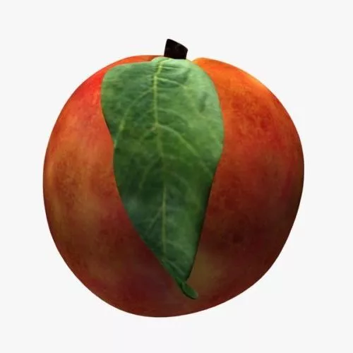Fresh Red Peach 3d model Fresh Red Peach 3d model