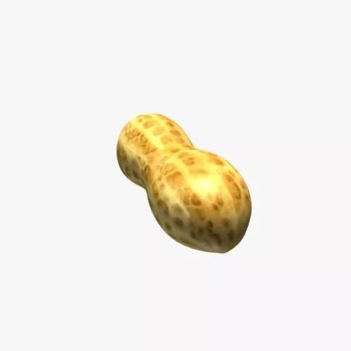 Peanut 3d model Peanut 3d model