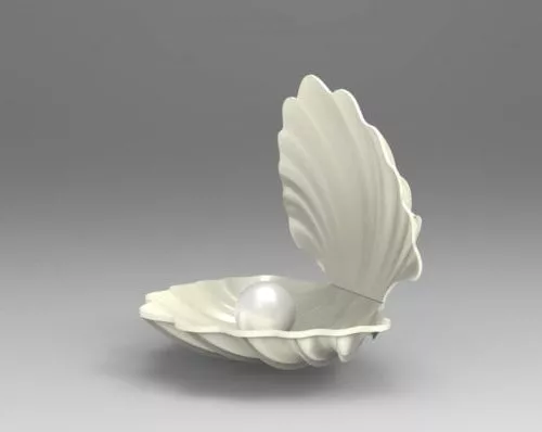Pearl In Sea Shell 3d model Pearl In Sea Shell 3d model