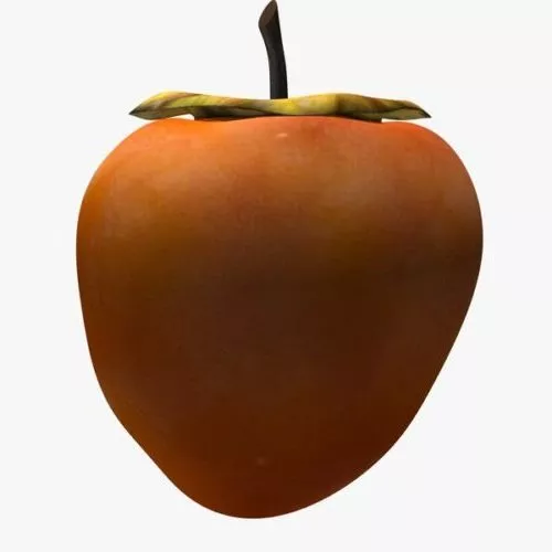 Calabash 3d model
