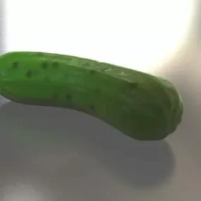 Fresh Pickle 3d model
