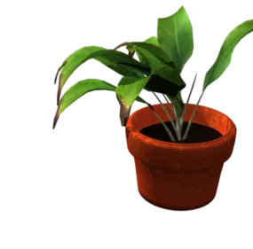 Plant In Plastic Pot 3d model