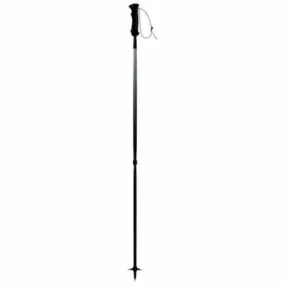 Poles Ski Sport Equipment 3d model