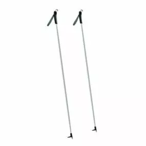 Polescross Ski 3d model
