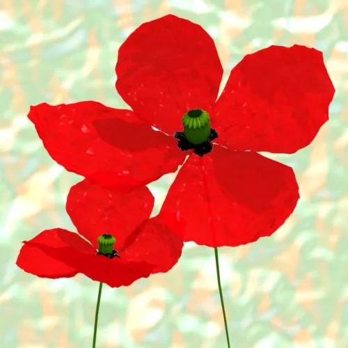 Poppies flower 3d model Poppies flower 3d model