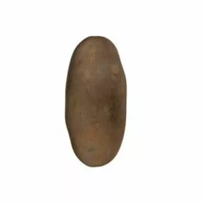 Potato 3d model