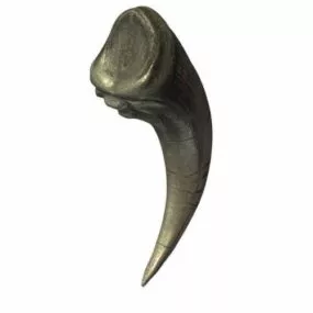 Raptor Claw 3d model