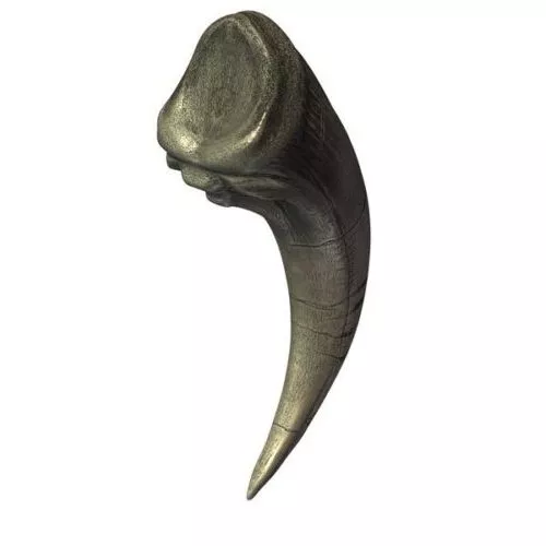 Arm Bone 3d model