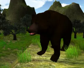 Realistic Bear Animal 3d model