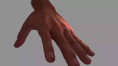 Human Arm With Wrist Watch 3d model