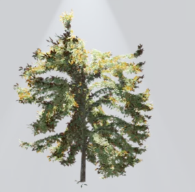 Realistic European Tree 3d model