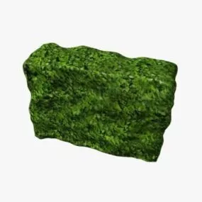 Rectangular Hedge 3d model