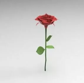 Realistic Rose 3d model
