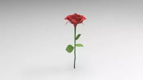 Realistic Rose 3d model Realistic Rose 3d model
