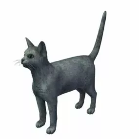 Russian Blue Cat 3d model