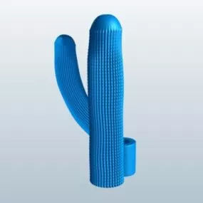 Saguaro Cactus Plant 3d model