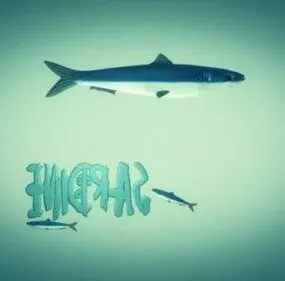 Sardine Fish Animal 3d model