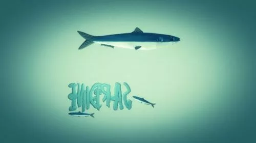 Fish Cartoon Animation Rig 3d model