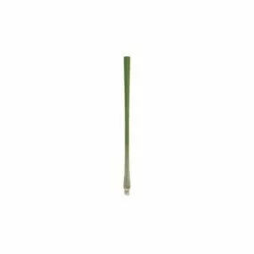 Scallion Vegetable 3d model