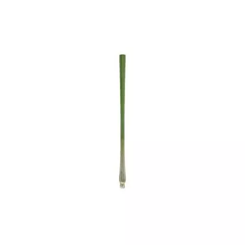 Green Cabbage Vegetable V1 3d model