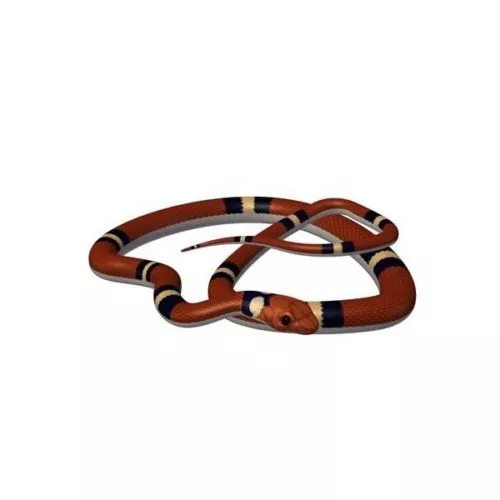 Snake In A Tank 3d model