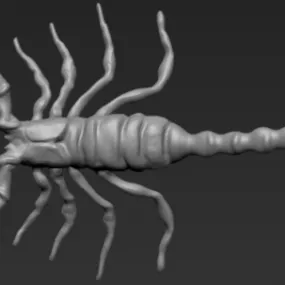Lowpoly Scorpion 3d model