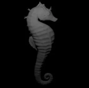 Lowpoly Seahorse 3d model