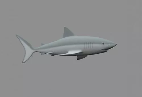 Shark Sea Robot 3d model