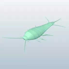Silverfish Bug 3d model
