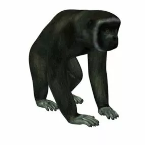 Silvery Gibbon Animal 3d model
