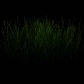 Simple Grass 3d model