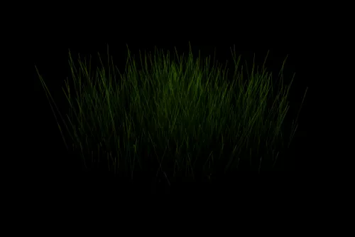 Simple Grass 3d model Simple Grass 3d model