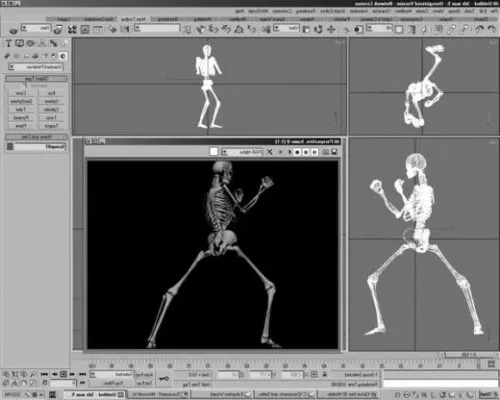 Human Bone 3d model